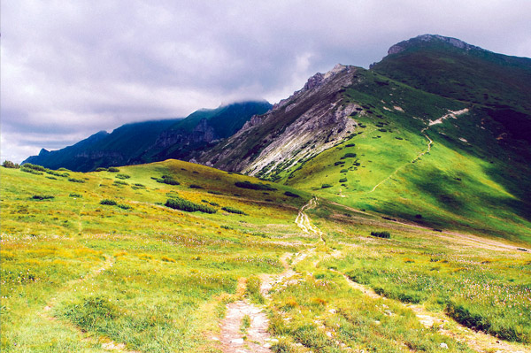 ddos攻击防御手段