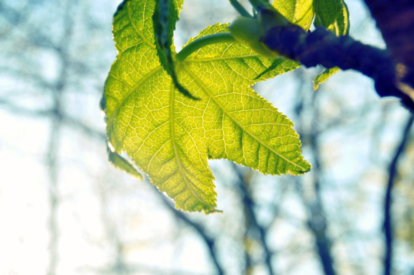 攻击网站的方法